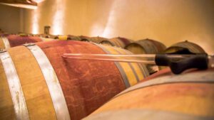 wijnvaten van Domaine de Briante, wijnhuis uit de beaujolais regio in Frankrijk